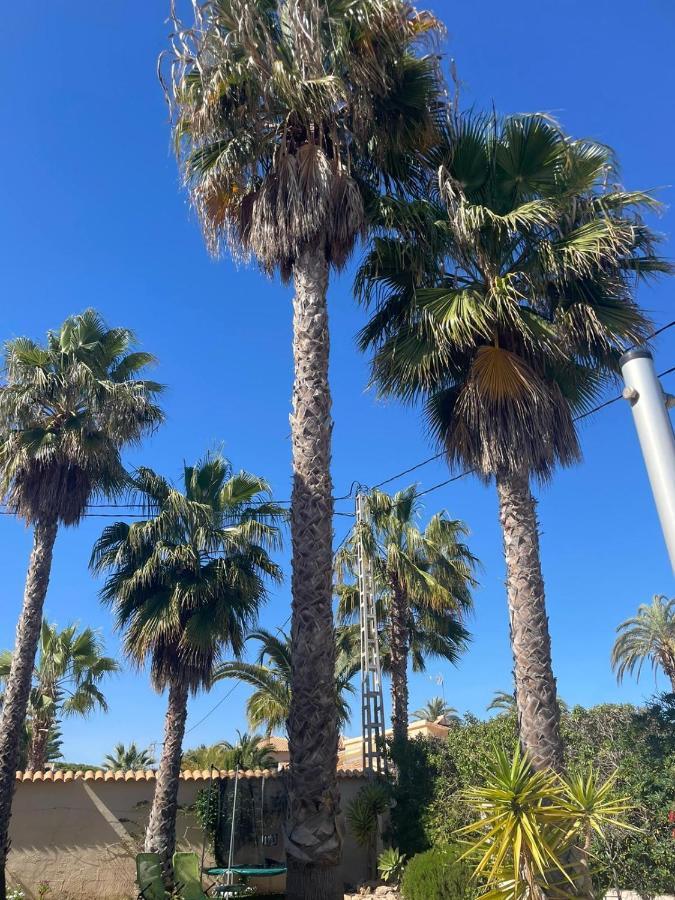Palangre Beach Apartment Τορεβιέχα Εξωτερικό φωτογραφία